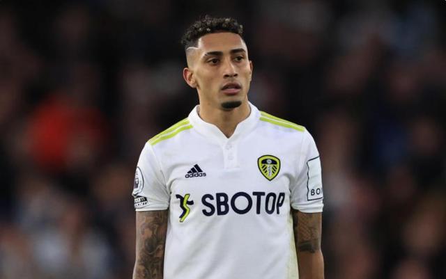 引来了世界 引来了世界